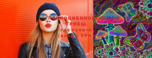 винт Армянск