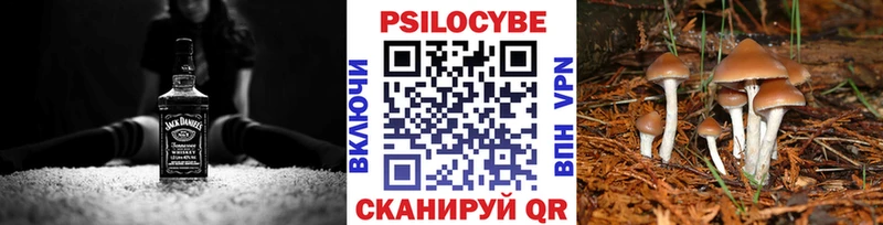 Галлюциногенные грибы MAGIC MUSHROOMS  сайты даркнета клад  Бавлы 